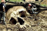 【再編集】かつて地球は巨人たちによって支配されていた