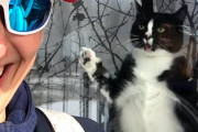 「シャー！！」配達に来たお姉さんに窓越しに威嚇しまくる白黒猫ちゃんが凄く可愛い！
