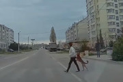 2足歩行で道路を横断するワンちゃんと飼い主さんのちょっとシュールな光景
