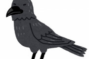 「このカラスに憧れてしまった…」注目を集めていたクールな1枚