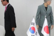 韓国人「犬猿の仲である日韓関係に米国も呆れ返る‥」→米国「日韓は仲良くしろ！」→韓国「ナチスとユダヤが仲良く出来ますか？」　韓国の反応