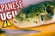 外国人が山口県でふぐ料理に初挑戦（海外の反応）