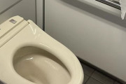 【WBC】米国人記者「米国のトイレは石器時代並み」日本のトイレに行った米記者が日本のトイレの最先端機能に驚愕！　韓国の反応