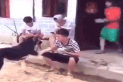 【どうしてこうなった】男4人+犬1匹による偶然に偶然が重なる奇跡の爆笑ドミノ現象【もはや芸術】