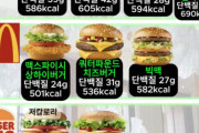 【衝撃】韓国人「ダイエットに最適なハンバーガー！？これがオススメニダwwww」