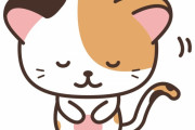 猫を救え！　アメフト会場で起こった奇跡　【海外の反応】