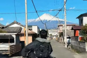 韓国人「不思議と心が穏やかになる日本の感性」