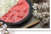 [韓国の反応]日本で限定販売されているあまりにも奇抜な色のカレーに韓国人も興味津々[韓国ネット民]かわいいと思ってるのは私だけみたいだね・・・ふふふ