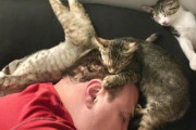 昨日私がベッドで本を読んでいる間、夫と猫がダンゴムシ状態でソファで寝ていた件
