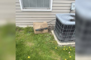 【海外】救助隊が壊れたアマゾンの箱を開けたら、ふわふわの赤ちゃんが3匹発見！あなたも感動するストーリー