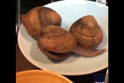 外国人「日本食はちょっとおかしい」(海外の反応)