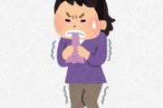 海外「ドイツでは見られない」「ブラジルに無いのが残念」外国人たちが羨む日本の『あをによし』