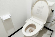 韓国人「トイレの蓋を閉めて水を流さなければならない理由」