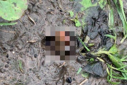 「泥の中に人間のつま先」通報で駆けつけた英国警察、二時間もジャガイモと気付かず大規模捜査を展開ｗｗｗｗ