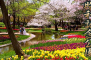 海外「東京の素晴らしい公園！」春の昭和記念公園を4Kで撮影した動画が話題に（海外の反応）