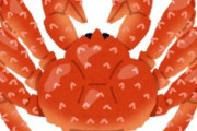 海外「クオリティたか！」日本で魚好きになった米国人の発見に海外が興味津々