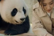 中国人「春の日本の美しい風景。日本のこういう雰囲気が好きな人いる？」　中国人「中国にはない美しさ」「ずっと眺めていたい」