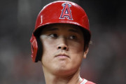 大谷翔平が試合中にファンから美しい娘を紹介される←「可愛い」（海外の反応）