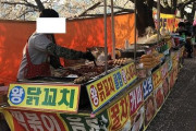 【画像あり】韓国人「不法露天商だらけで不衛生？」韓国桜祭りの素顔をご覧ください‥　韓国の反応