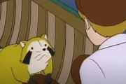 【海外の反応】「日本にアライグマが多いのもアニメ」日本のアライグマ。