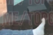 海外「動員を避けるために友人の足を折るロシア人。足を折った方がマシな悲惨な動員状況」