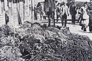 【記録・資料】1ドル両替すると葉銭1つ背負う