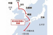 【韓国の反応】「韓国語と日本語の起源が発見されたぞ！」