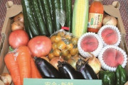 海外「東京のオリンピックでは放射能が含まれた福島県産の野菜も出されるのかな？」→日本がそこまでザルなわけないだろ！ アメリカやヨーロッパよりも厳しいよ