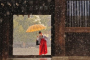 中国人「日本の『巫女』ってどういう存在なの？」「巫女さんって実在してたのか…」　中国の反応