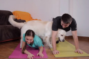 パパとママのトレーニングを全力で妨害するゴールデンレトリバーに、もう笑うしかない！