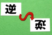 韓国人「絶対に上下逆さまに見てはならない女性の写真」