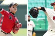 日本リーグの平均球速が146km/hというのは本当ですか？日本人投手の投球が異常に早い理由とは？　【ネット民の反応】