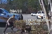 ほのぼの警察24時、一方アメリカでは警官がニワトリと追いかけっこ