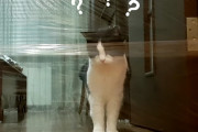 ネットで流行っている''見えない壁チャレンジ''を元保護猫のプーシクくんがチャレンジしてくれました！
