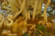 韓国人「日本の食堂で食べた800円カレーうどんに感動！‥この満足感は想像以上」→「コスパ最強の衝撃…」