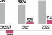 韓国人「悲報：ユニクロさん、昨年度の売上もパッとしない模様」「ノージャパン運動の余波がここにも…」