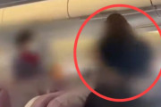 【韓国の反応】「ゴミみたいなX、豚みたいなX」…客室乗務員に悪口騒動の日本の女。韓国の反応「日本人は小学生の英語もできないのか。/旅行じゃなく病院に行け。」