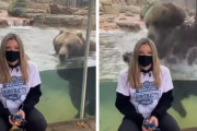 「食べに来てる？！」記念撮影の女性に全身で襲い掛かるクマが怖い！