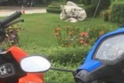【画像】キノコ生えました