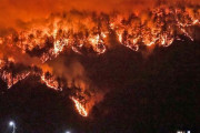 韓国の山火事…3km離れたハンウル原発周辺まで飛び火＝韓国の反応