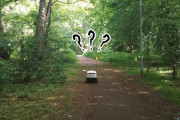 ちょっとかわいい。森の中で迷子になっちゃった配達ロボット