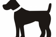 「今日も玄関で『わおーん』と犬に呼ばれている、飼い主ではないのだけど…」