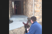 ずっと犬を欲しがっていた娘が、ボランティア施設で出会ったワンちゃんとサプライズ再会。そして家族へ。 海外の反応
