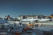 動物を飛行機で運ぶのはかわいそう？コロナで貨物需要増！アメリカン航空が毎日324トンを空輸する方法「テトリス？」「この仕事解雇された…」海外の反応