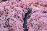 外国人が選んだ異世界みたいに美しいスポット　日本もあの場所がランクイン