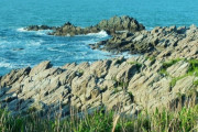 韓国人「日本で自殺率を減少させた立て札をご覧ください」