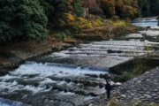 海外「温泉が恋しい…早く日本へ旅行したいです」箱根で紅葉の景色と温泉を楽しむ（海外の反応）
