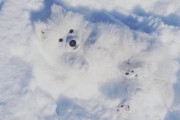 「ん？何かいる？」雪と同化した真っ白わんこ 海外の反応