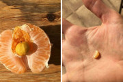 外国人「食べ物でガチャ大当たりを引いた奴を見せてくｗｗｗｗ」Part2