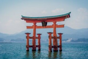 ロック付き傘立てにペットカート…日本では当たり前だけど世界的には珍しい物「ホット自販機は最高！」「マックが写真通り」海外の反応